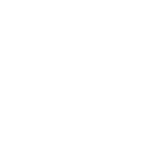 CNPq Logo
